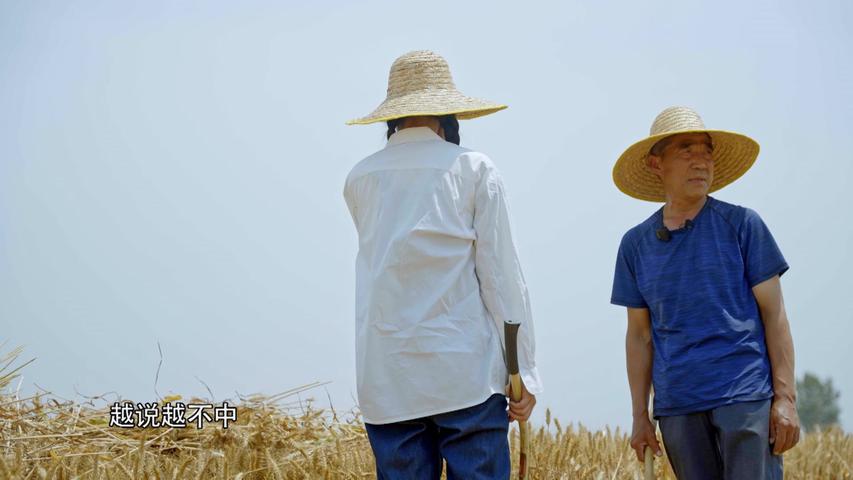 《我们村》第2集