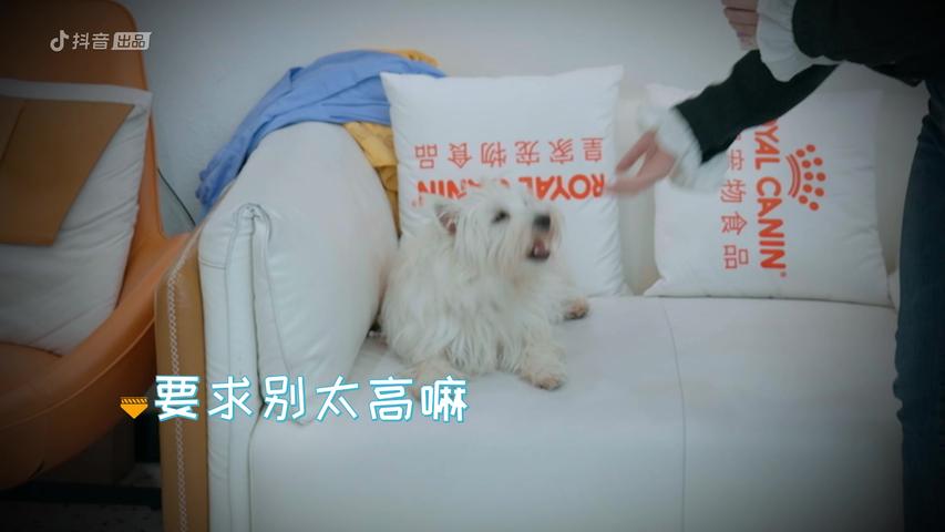 《宠物医生第二季》第2期