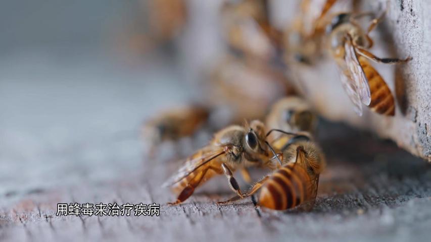 《我们村》第1集