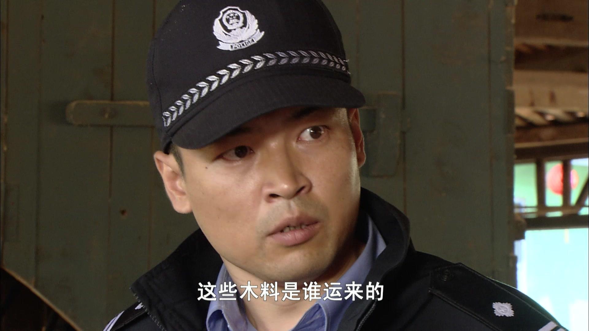 又是一年山林绿 第30集视频封面图