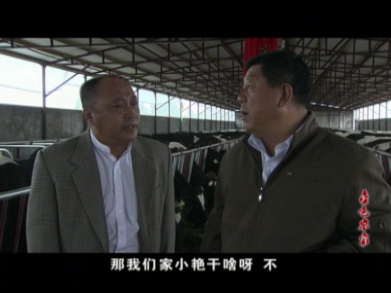 金色农家 第28集视频封面图