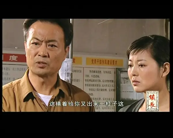 镇长 18集