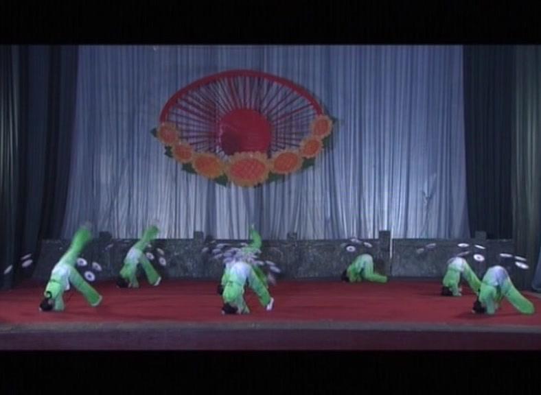 杂技皇后夏菊花 第13集视频封面图