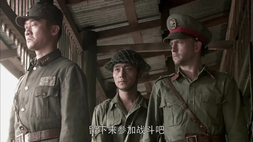 中国远征军 14集