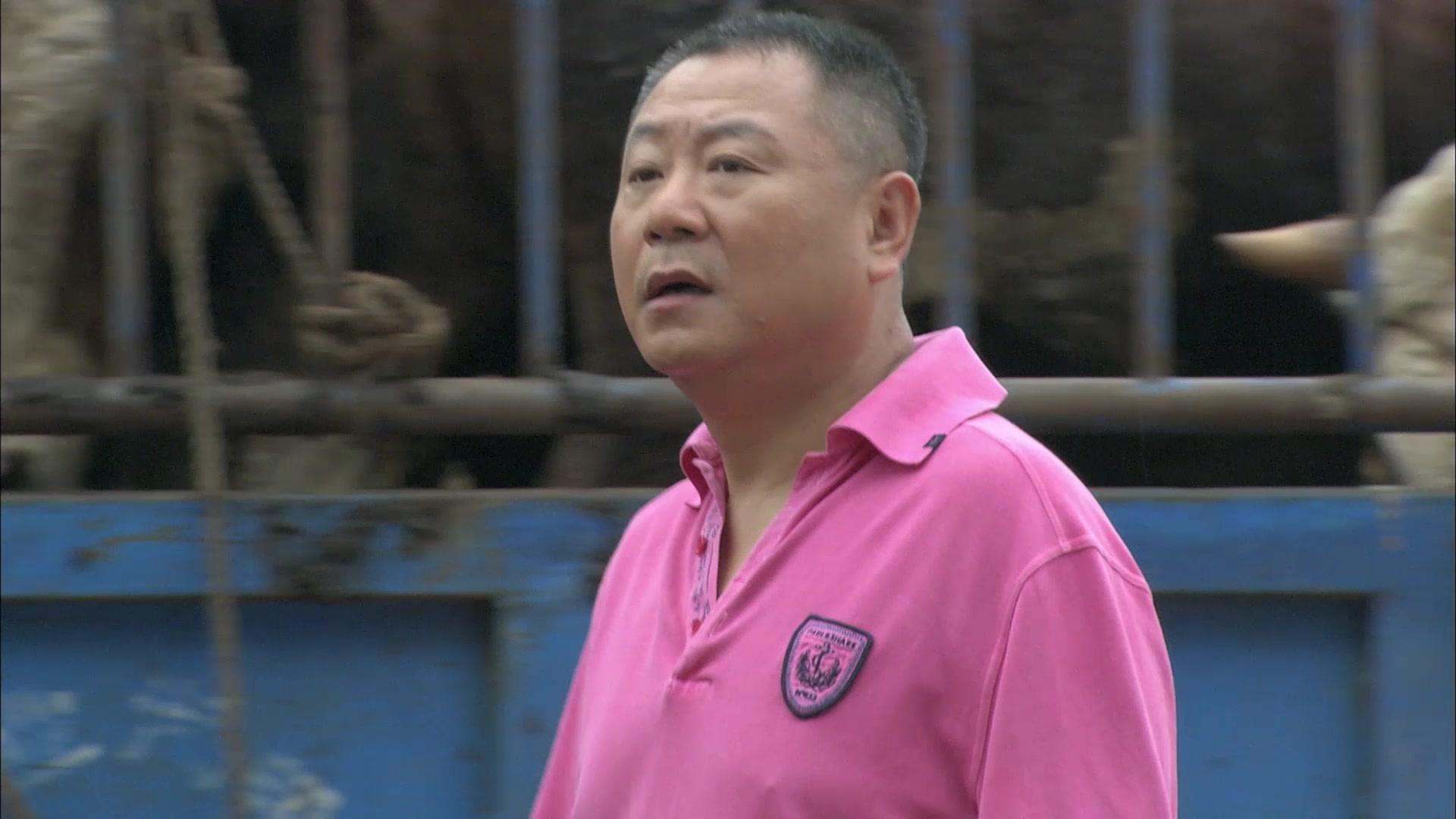 老家门口唱大戏 第17集视频封面图