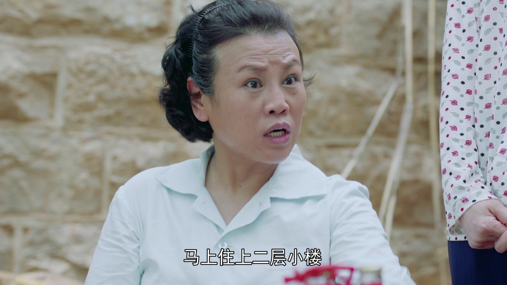 兰桐花开 第19集视频封面图