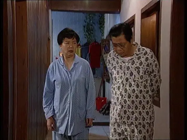 外来媳妇本地郎 第一部 300集
