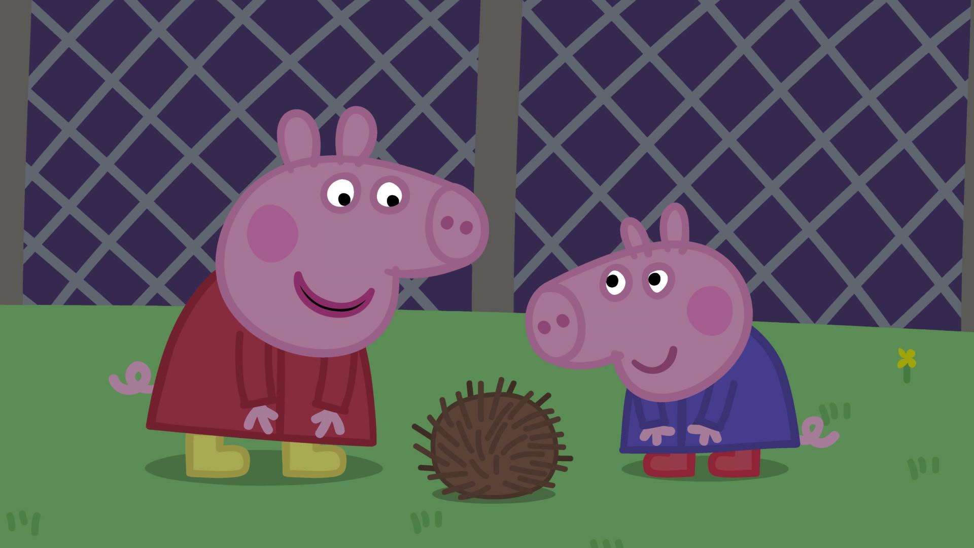 小猪佩奇之爱好来培养 第15集视频封面图