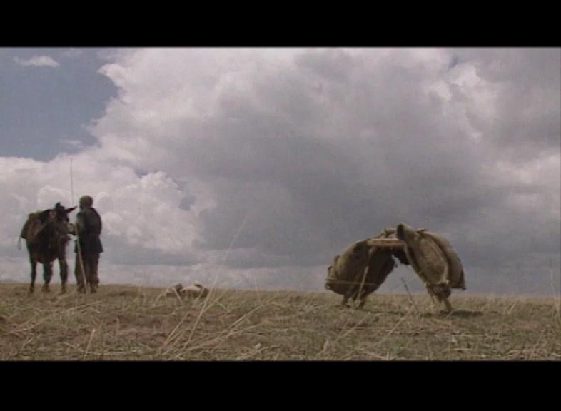 长征岁月 第8集视频封面图