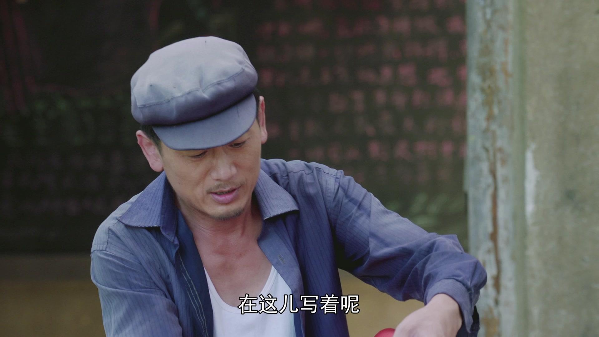 兰桐花开 第23集视频封面图