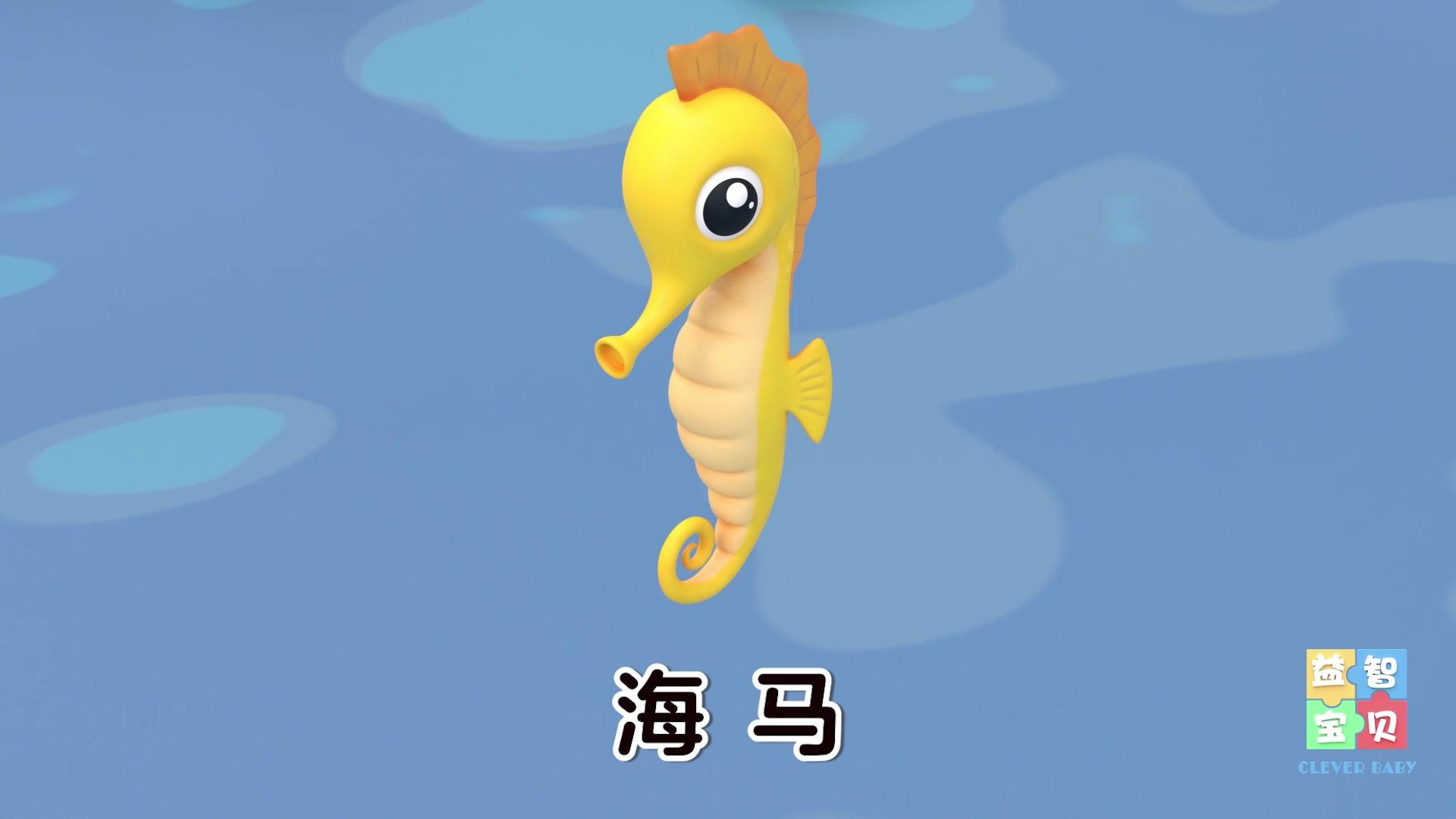 益智宝贝 第249集视频封面图