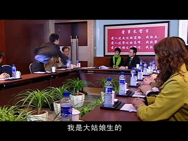 嫂子的情感时代 11集
