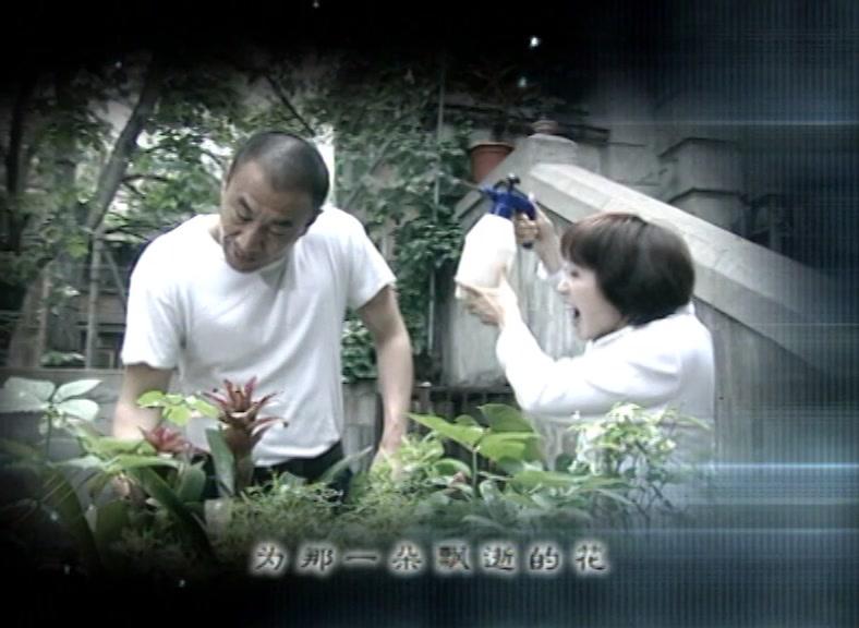 男人养家 第8集视频封面图