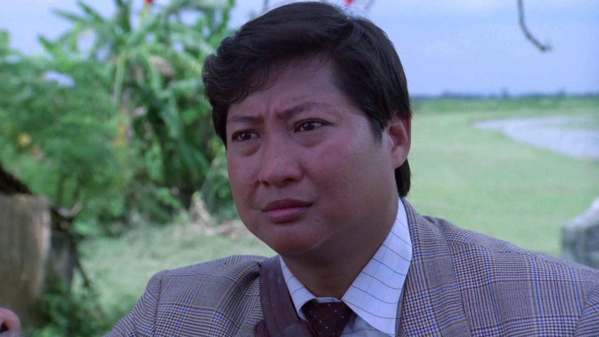 八两金视频封面图