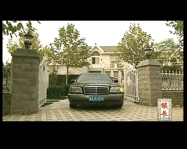 镇长 15集