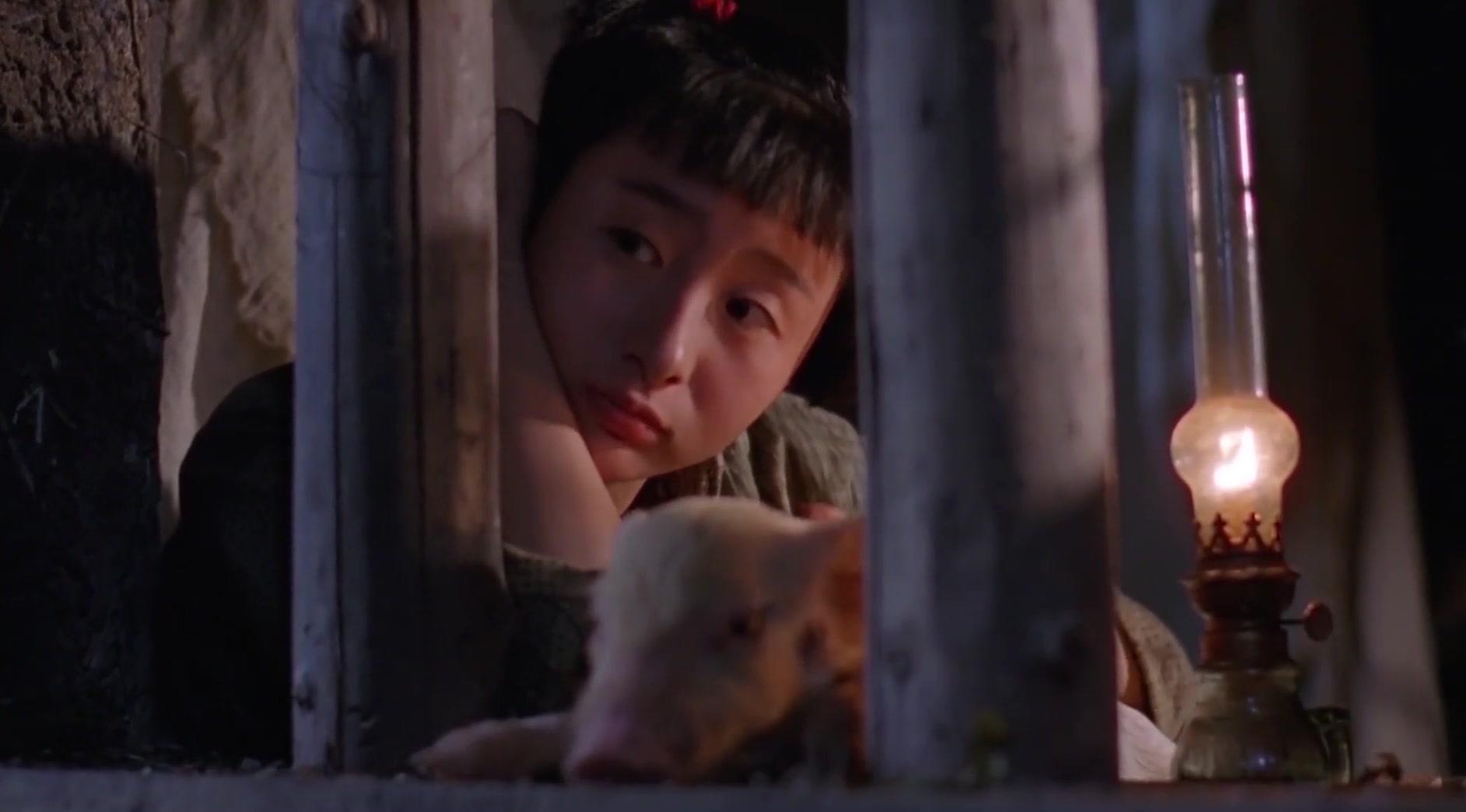 财叔之横扫千军视频封面图