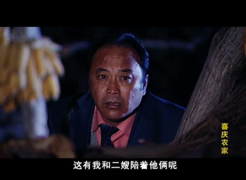 喜庆农家 第5集视频封面图