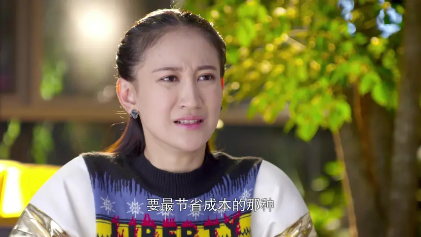 美梦成真 14集