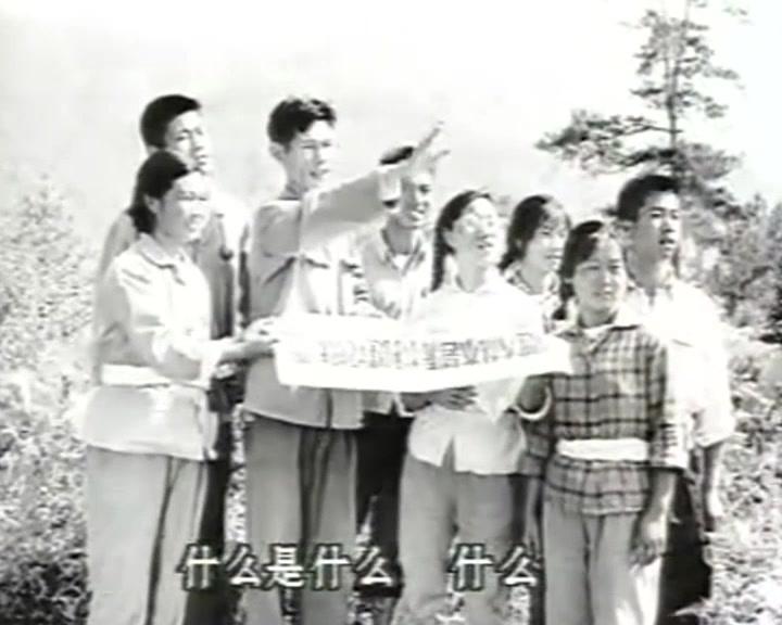 孽债 第4集视频封面图