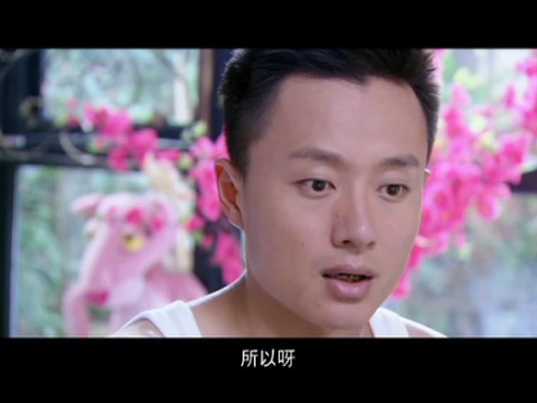 遍地阳光 第26集视频封面图