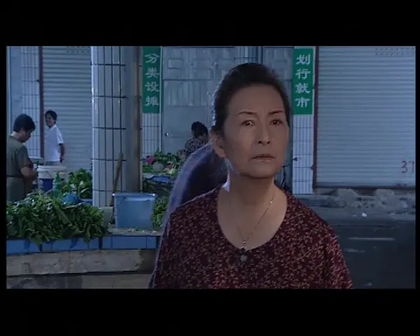 人间传奇之母爱十三宗 23集