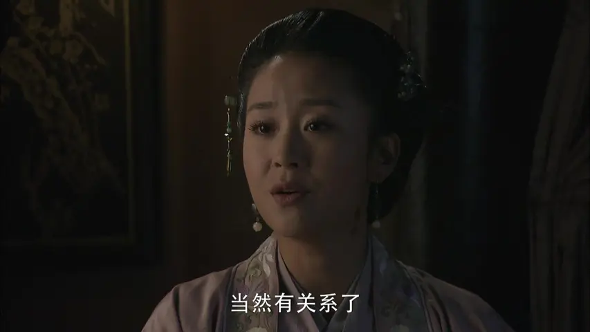 大宋提刑官第二部 27集