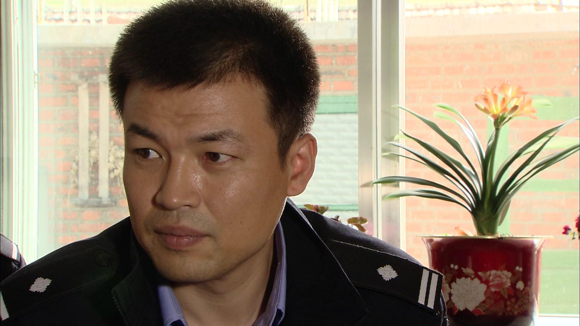 又是一年山林绿 第18集视频封面图