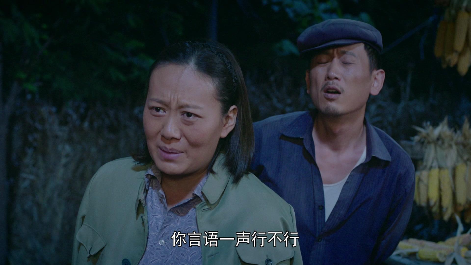 兰桐花开 第10集视频封面图