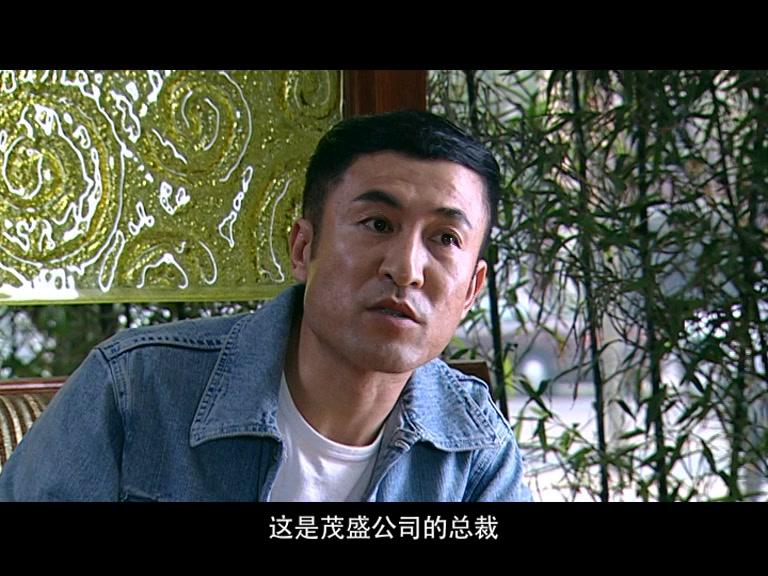 终极记忆 第29集视频封面图