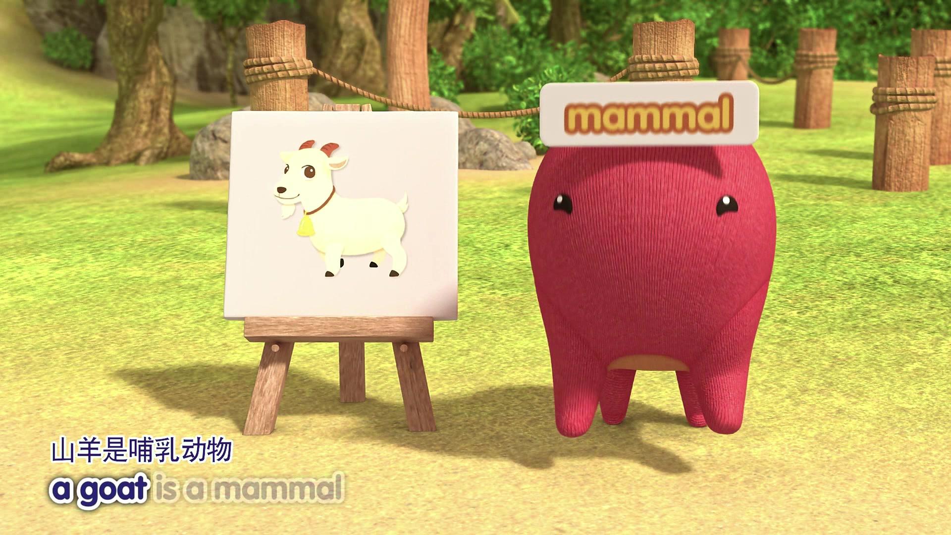 巴塔木流行儿歌第三季 第7集视频封面图