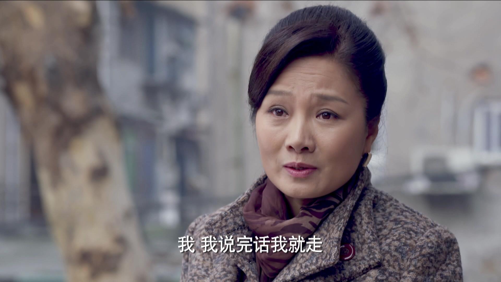 二婶 第37集视频封面图