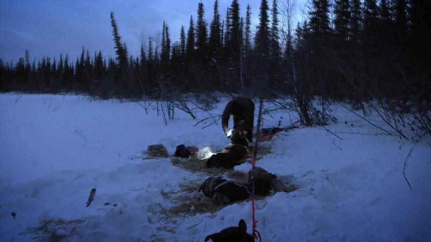 《零度以下的生活第五季》第6集