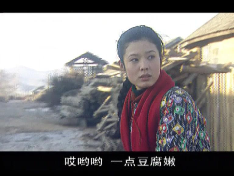 老嘎包村记 20集