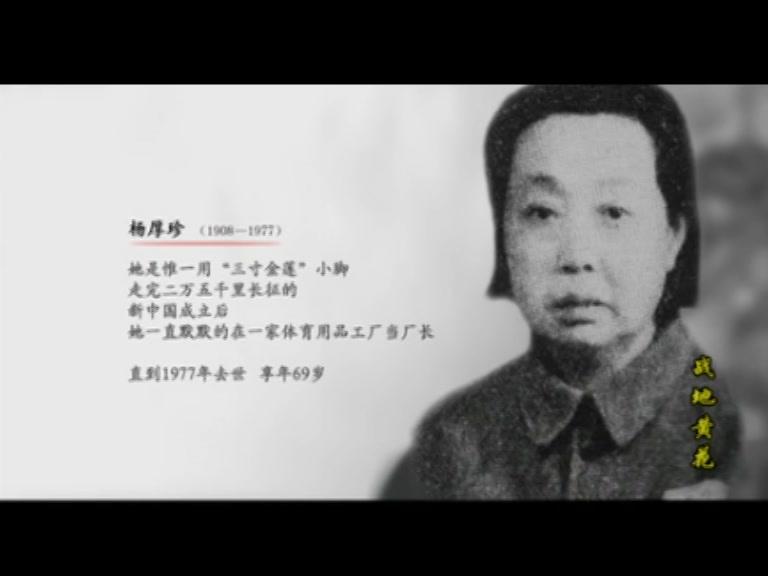 战地黄花 第26集视频封面图