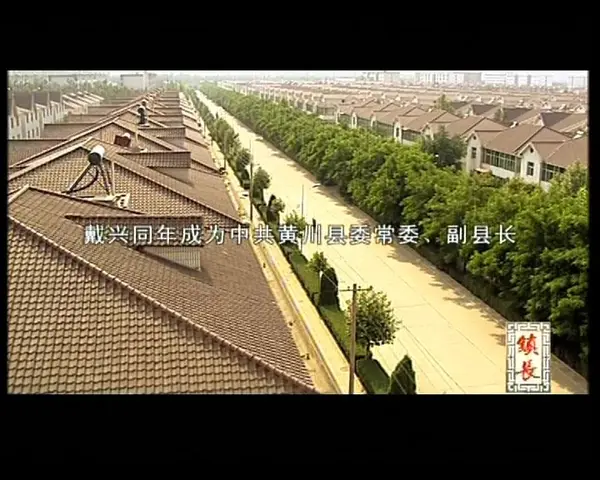 镇长 19集
