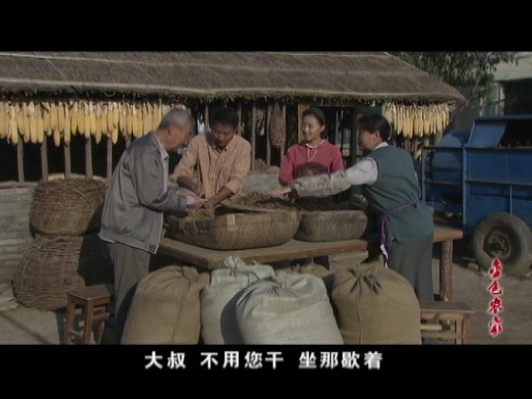 金色农家 第18集视频封面图