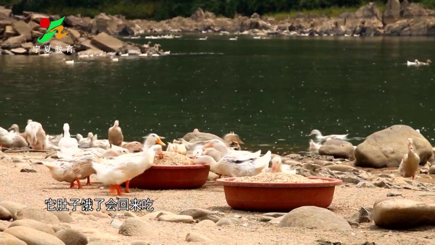 《味道中国第二季》第20集