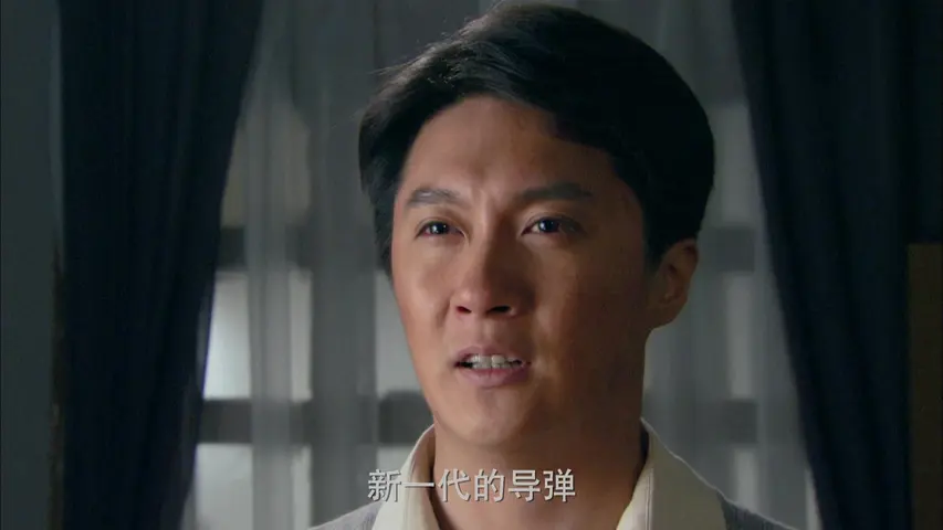 五星红旗迎风飘扬第二部 16集