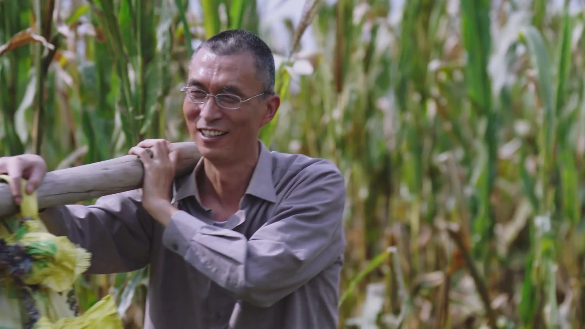 花开时节 第9集视频封面图