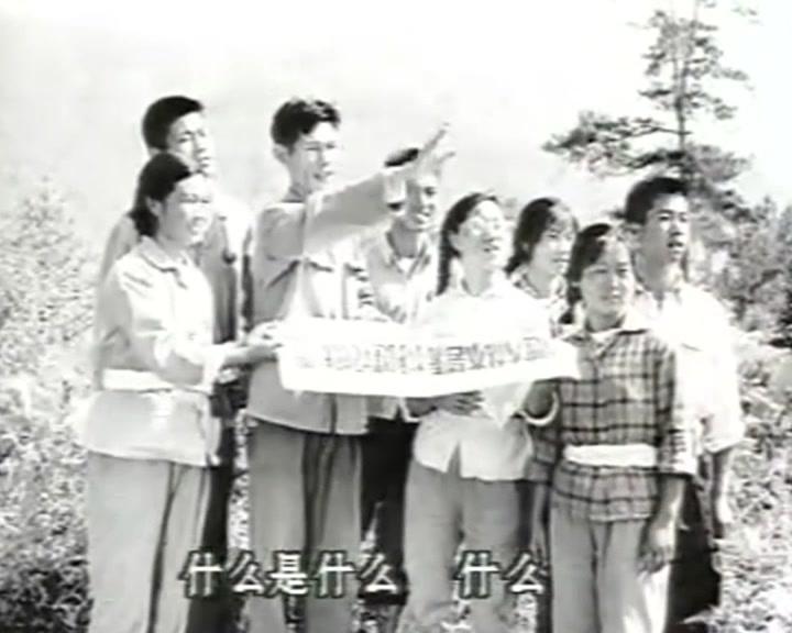 孽债 第11集视频封面图