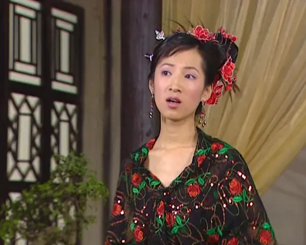 乘龙怪婿1 117集