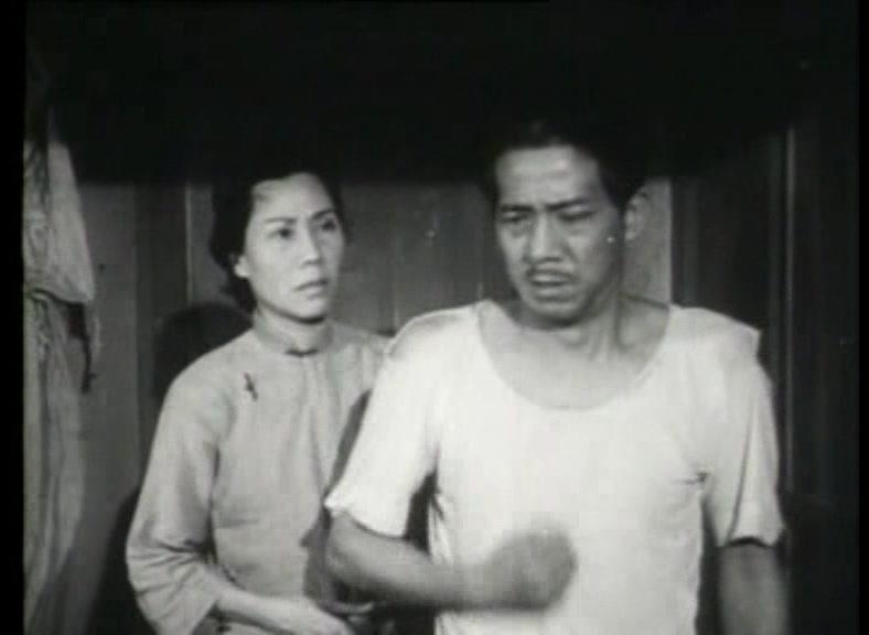 危楼春晓视频封面图