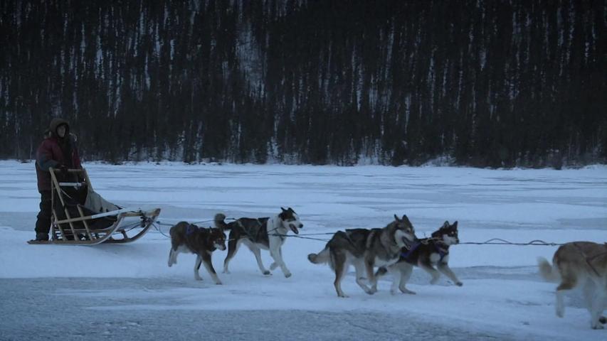 《零度以下的生活第五季》第8集