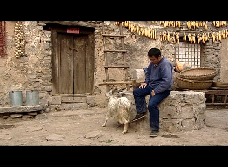 好人谢延信 第5集视频封面图