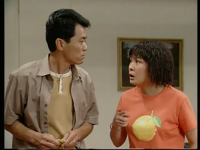 外来媳妇本地郎第二部 8集
