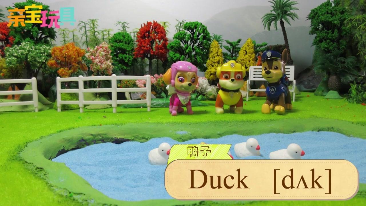亲宝文化：学英语 1集