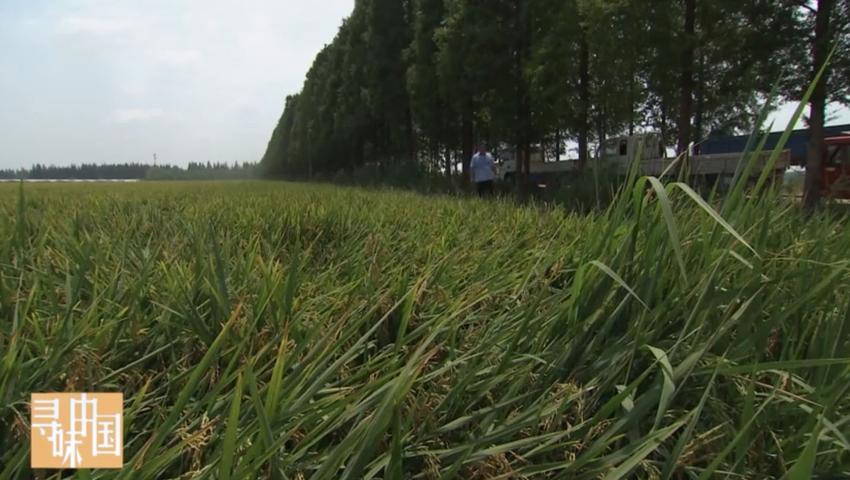 《寻味中国》第8集
