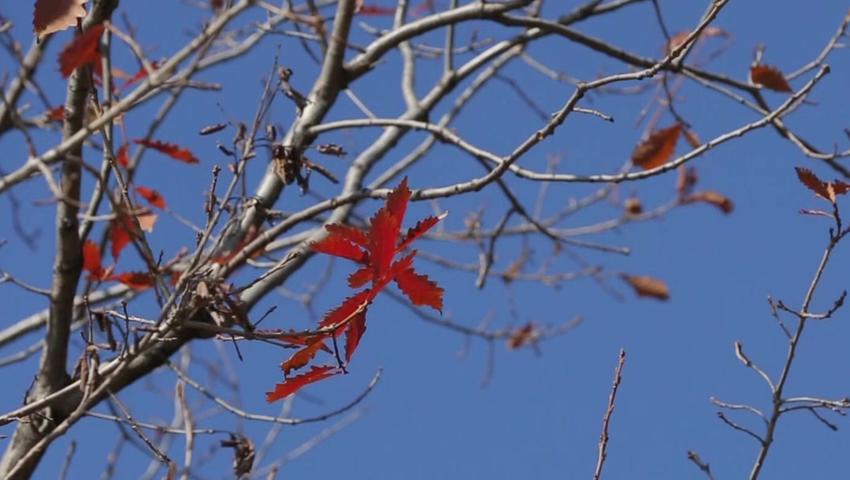 《二十四节气》第19集