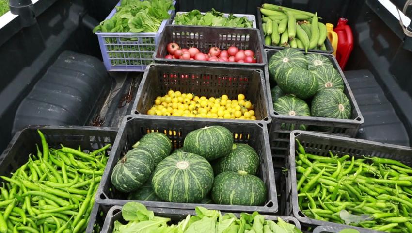 《二十四节气》第14集