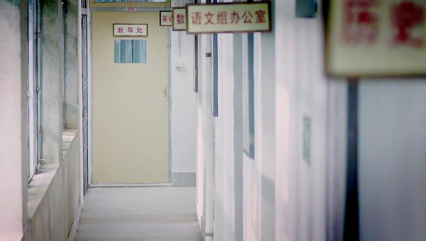 《法治天下 2019》第80集